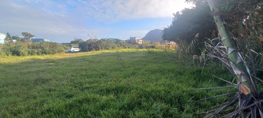 0 Bedroom Property for Sale in Pringle Bay Western Cape